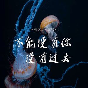 不能没有你没有过去