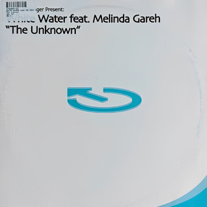 The Unknown (Original Mix)