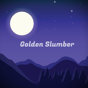 Consciousness (Sleep)