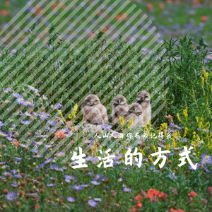 生活的方式