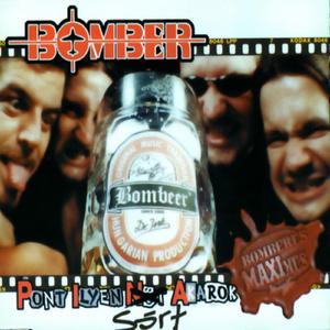 P.I.N.A. ((Radiofriend version))