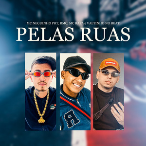Pelas Ruas de São Paulo