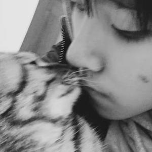 纪念（cover A2年级全班）（翻自 雷雨心）