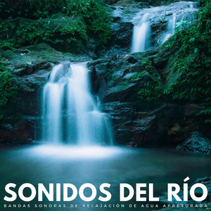 Armonía Armoniosa Del Río