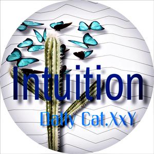 Intuition