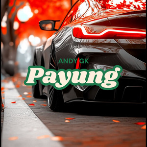 PAYUNG (KOPLO JAWA POP VERSION)