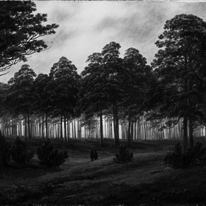 螢火之森「Demo」