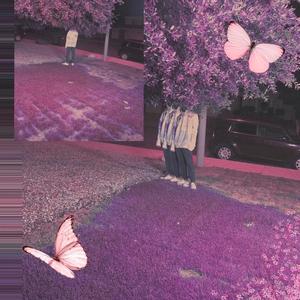 Sum 2 Prove (feat. BenjiMxrgiela & Lui X)