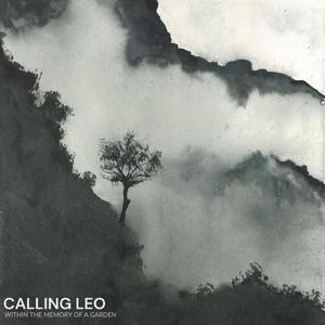 Wild Angus (feat. Jack Ray, Lewis Dimitropoulos & James Ho)