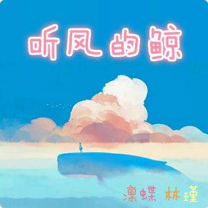 听风的鲸
