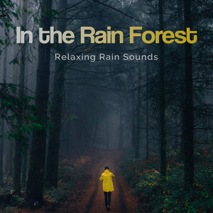 Rain on Metal Sheeting