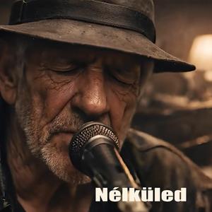 Nélküled (Acoustic Blues version)