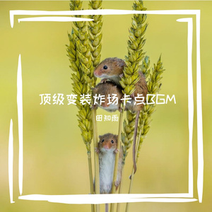 顶级变装炸场卡点BGM
