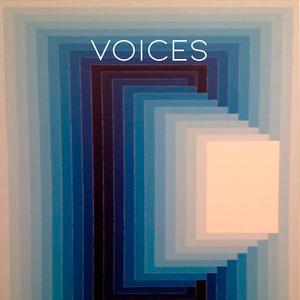 Voices (feat. Lu'kitas)