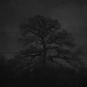 Skywave (feat. Louey Hart & Other People's Children)