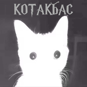 Котакбас