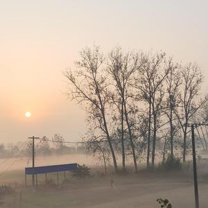 妹妹愿意跟哥走