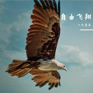 自由飞翔