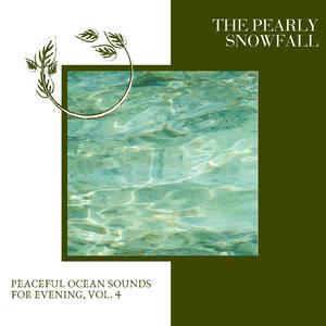 Crickets Sound After Rain