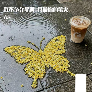 我不争夺星河 只做你的萤火