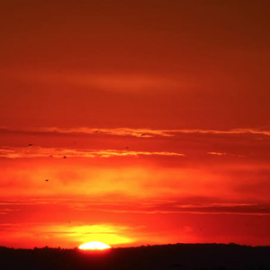 Pobre soy (En acústico)