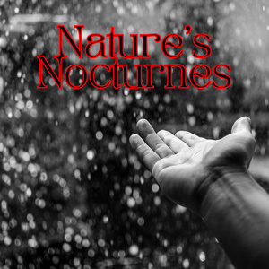 Calm Rain in Fort Worth: Relaxing Sleep Vibes