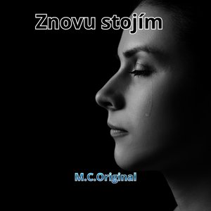 Znovu stojím