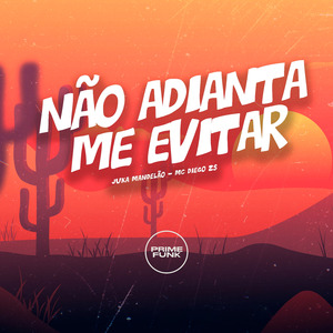 Não Adianta Me Evitar