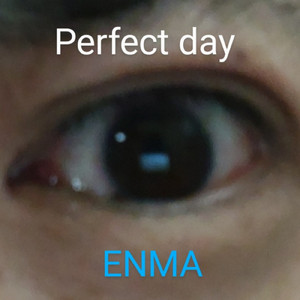 パーフェクトデイ