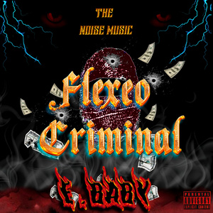 FLEXEO CRIMINAL