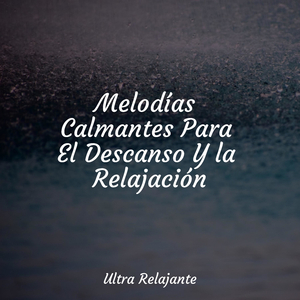 Hamaca En Los Árboles