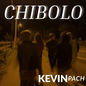 Chibolo