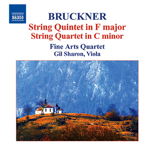 String Quintet in F Major, WAB 112:III. Adagio