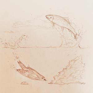 The Bird and the Fish