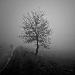 green to blue（Remix&Reverb）