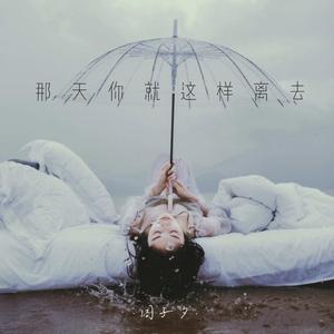 那天你就这样离去