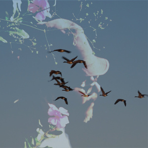 Erransiedades na Manhã Cinzenta