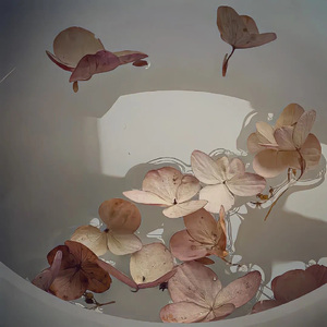 用情-(羊羊版片段)