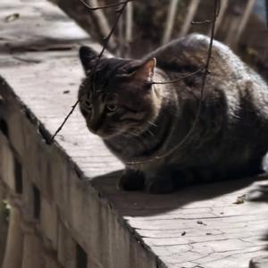 爱让善辩者沉默寡言