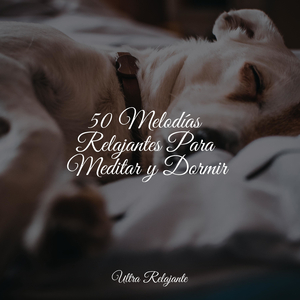 Duchas De Medianoche