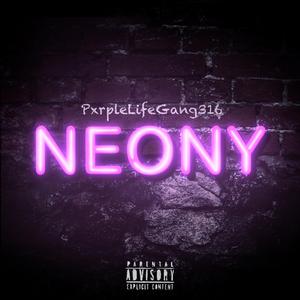 Neony (feat. Garrigue316 & Admin316)