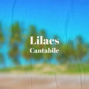 Lilacs Cantabile