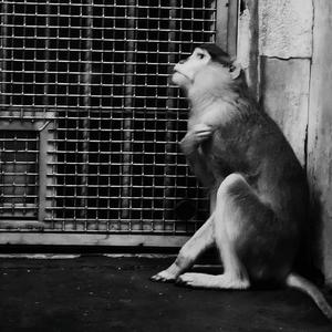 蜕变（Prod By K4H）