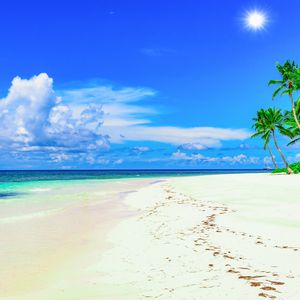 二十四桥明月夜