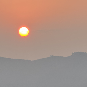 我想做你的眼睛