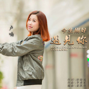 今生刚好遇见你 (DJ伟然版)