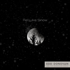 Fell Like Snow