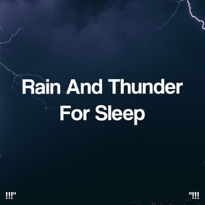 호우 잠