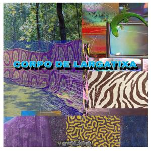 Corpo de Largatixa
