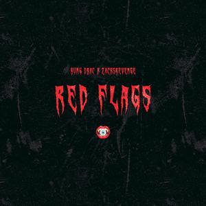 red flags (feat. zachsrevenge)